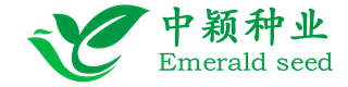 中穎園林