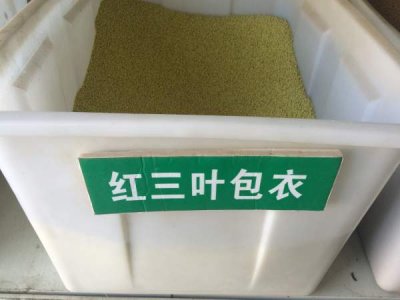 紅三葉播種量一平方多少克？