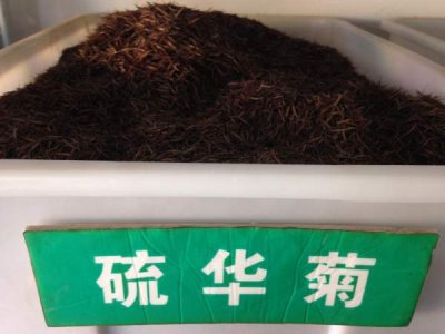 硫華菊每平方種植多少克？