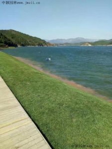 什么叫護坡植草？