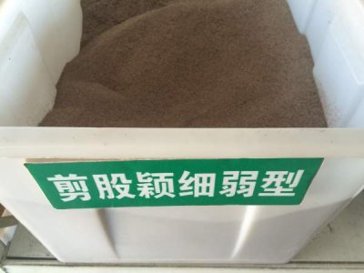 哪里有賣園林綠化草種