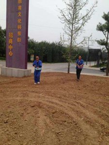 草種撒完需要蓋土嗎？