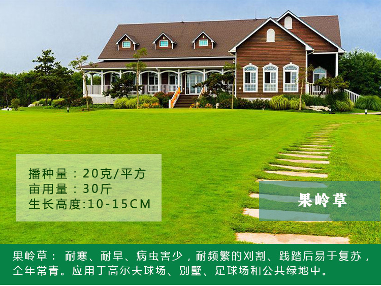 1537967478107341.jpg 果嶺草1.jpg