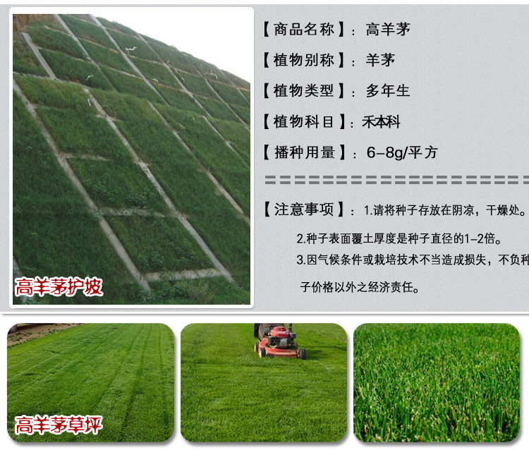 1537969720135551.jpg 百慕大護坡1.jpg