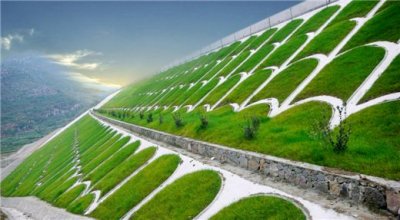 護坡草種什么品種最合適