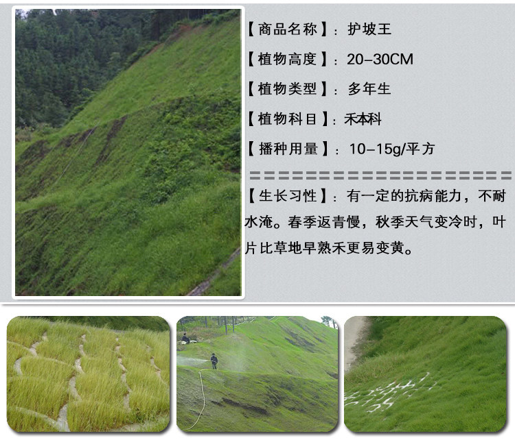 1537972477571238.jpg 護坡王1.jpg