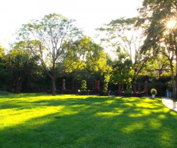 公園適合種哪些草種