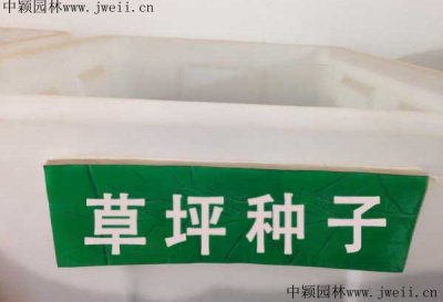 提防護坡種什么草籽比較好？