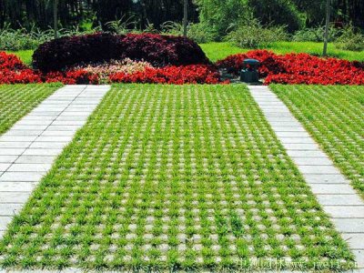 連鎖式植草磚護坡種什么草？
