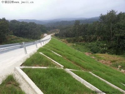 空心磚植草護坡好處？