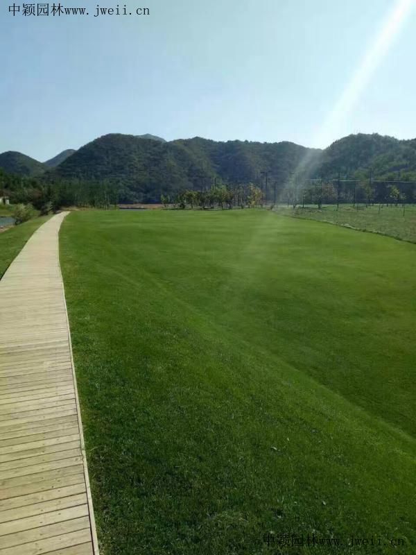 1569416589117033.jpg img_0587_副本 (1).jpg