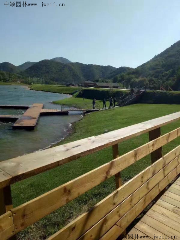 1569416604865599.jpg img_0586_副本.jpg