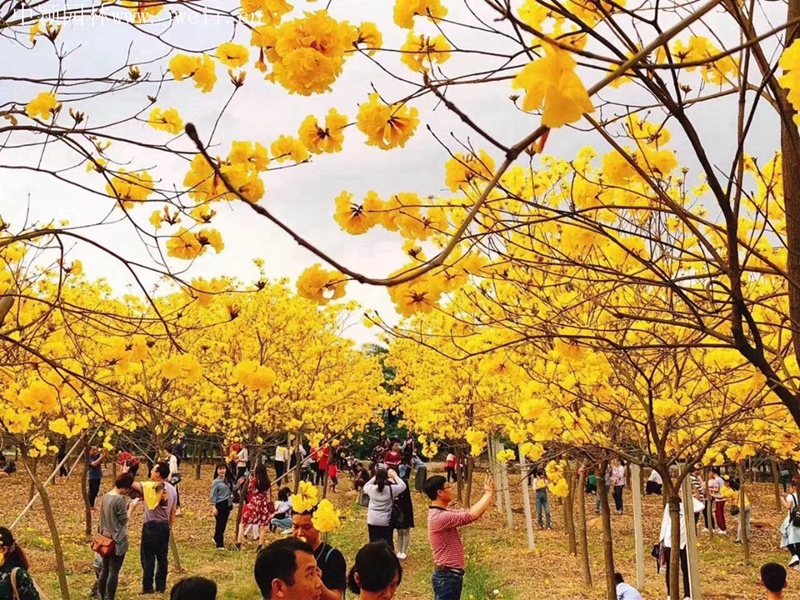 微信圖片_20200401204226_副本.jpg