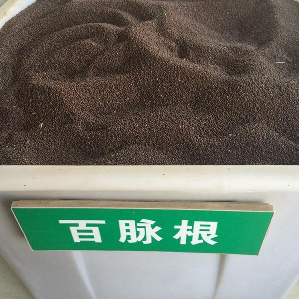 百脈根種子2_副本.jpg