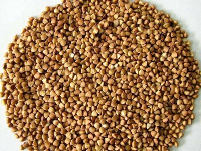 苦蕎麥籽多少錢一斤？