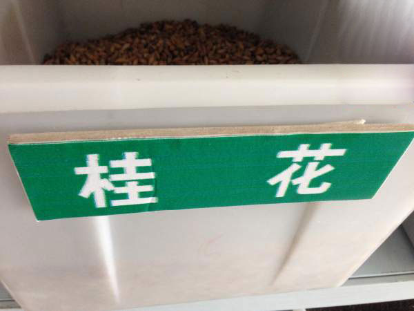 1609501631651074.jpg 桂花011.jpg