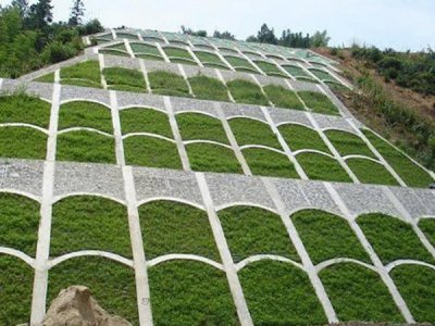 河塘護坡種植什么草種好？