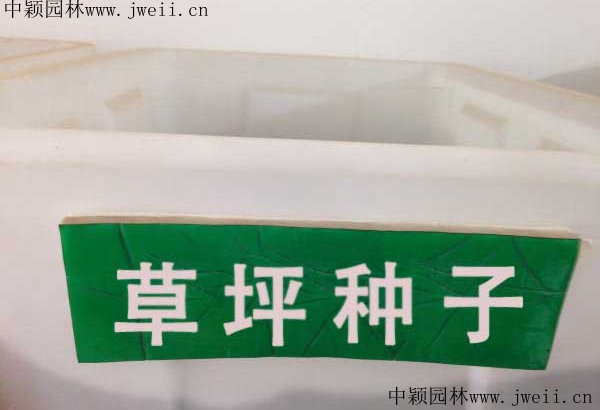 草坪種子1_副本.jpg