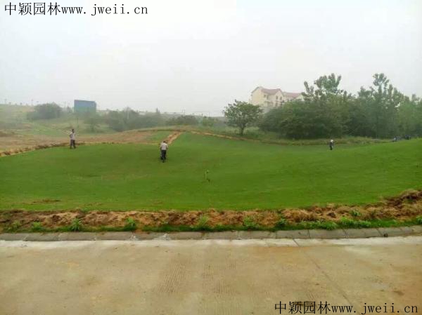 1627562218826297.jpg 090 (9)_副本.jpg