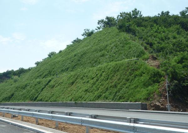邊坡草坪3.jpg