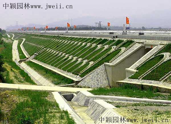 高鐵護坡1.jpg