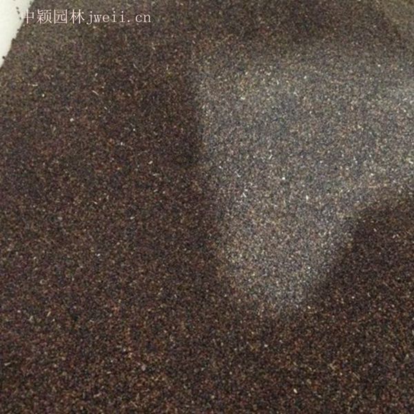 1628847001912203.jpg 芳香鼠尾草4_副本.jpg