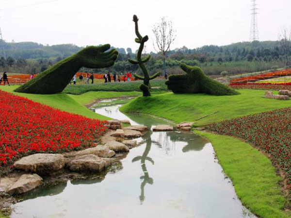 1632281342908542.jpg 花海植物3.jpg
