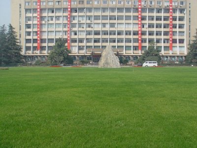  多年生黑麥草能在零下二十℃生長嗎