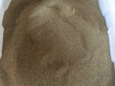 華北哪里有賣高羊茅種子？