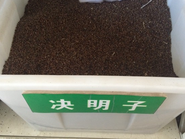 1649155626922371.jpg 決明子.jpg