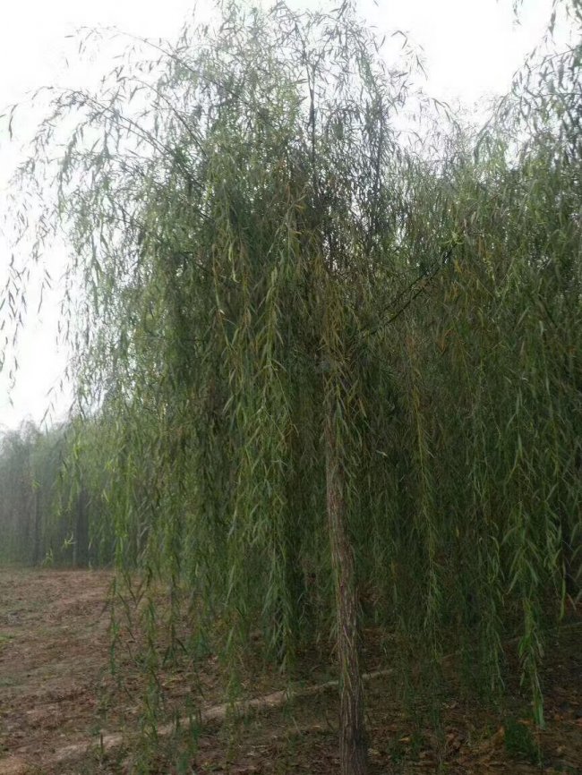 QQ圖片20220411105753.jpg