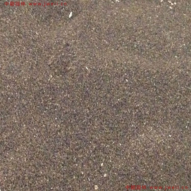 1649728598811495.jpg