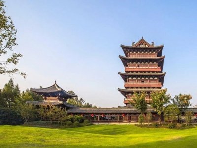 狗牙根就是百慕大嗎？