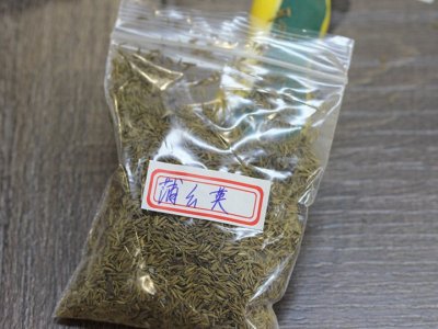浦公英可以人工種植嗎？