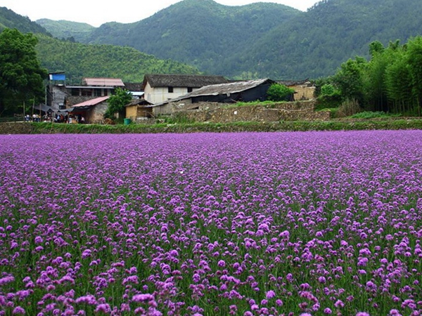 1650365590280357.jpg 9_副本.jpg