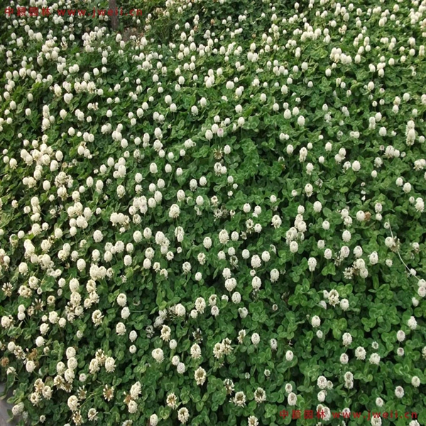 1654684074444839.jpg 1_副本.jpg