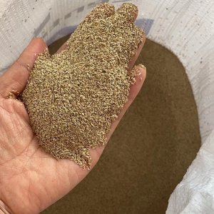 護坡百慕大草坪種子