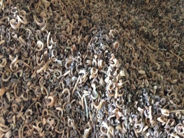 1666148983639795.jpg 10_副本.jpg