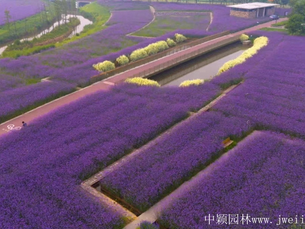 1670993194828582.jpg 微信圖片_20200401204037.jpg