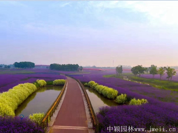 1670993218239583.jpg 微信圖片_20200401204031.jpg