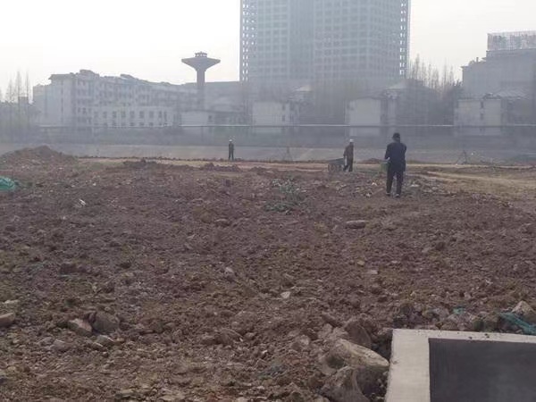 1672038798572068.jpg 撒種2.jpg