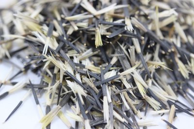 孔雀草花種子是什么樣？