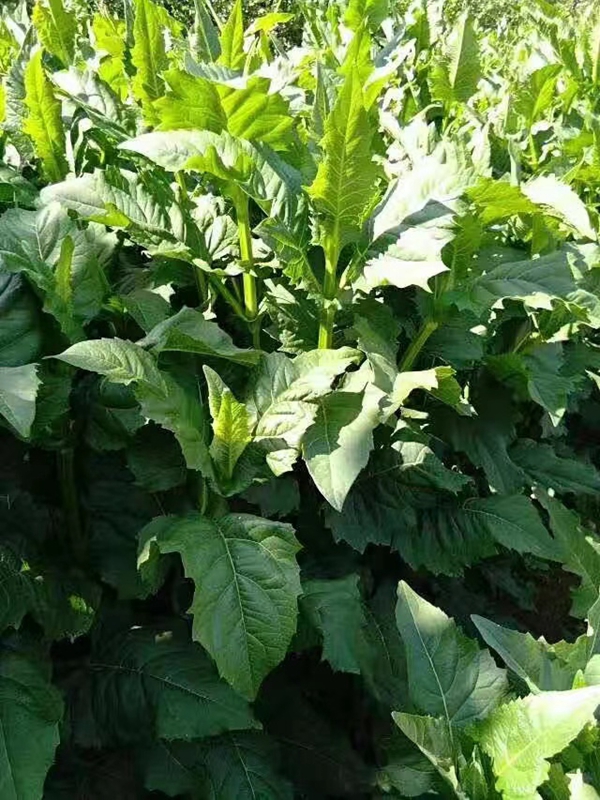 1676094265551821.jpg 微信圖片_20230210210618.jpg