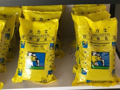進口牧草種子價格