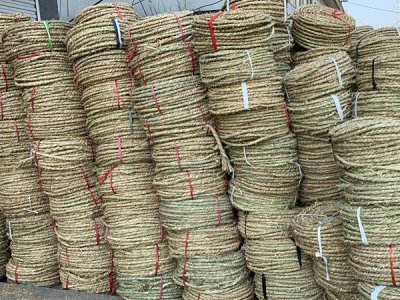 為什么樹下面要綁繩子？