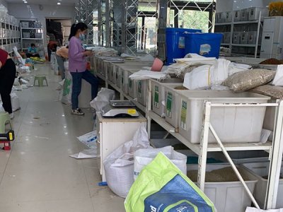 哪里賣草坪種子