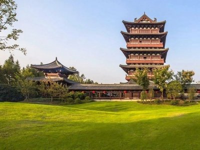 種植草坪需要什么種子
