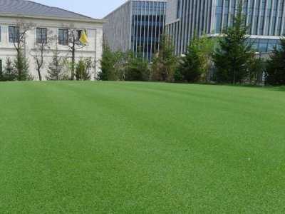 家庭適合種植什么草坪比較好
