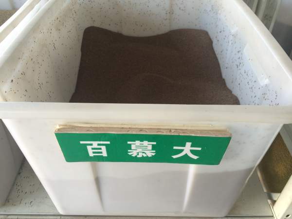 1684728558467739.jpg 百慕大.jpg
