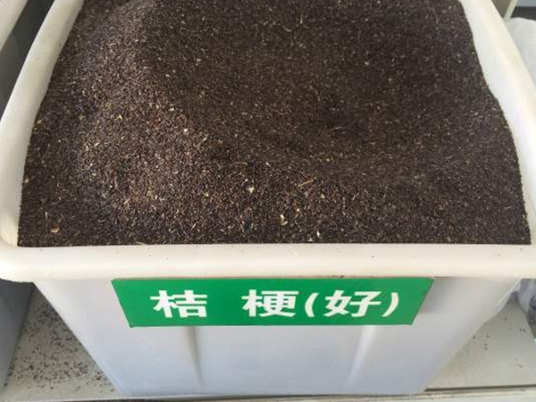 桔梗種子.jpg
